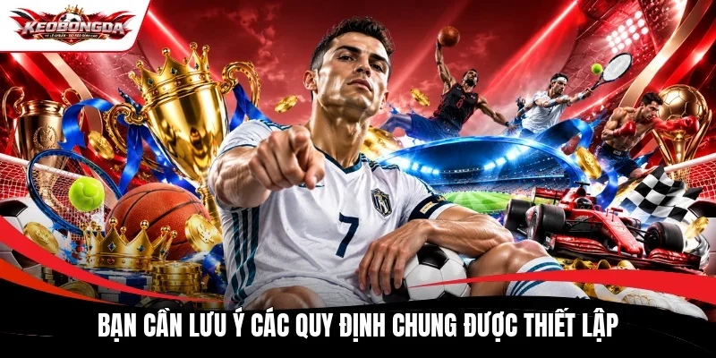 Bạn cần lưu ý các quy định chung được thiết lập