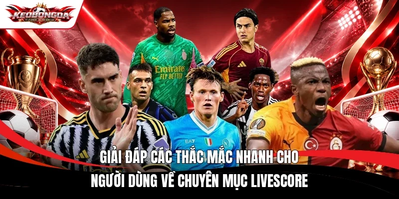 Giải đáp các thắc mắc nhanh cho người dùng về chuyên mục Livescore