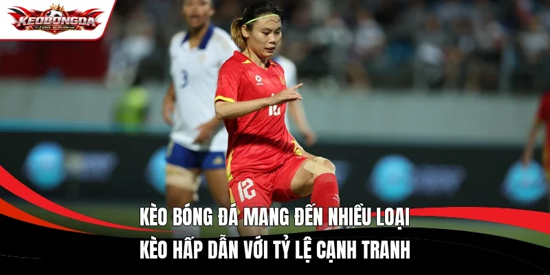 Kèo bóng đá mang đến nhiều loại kèo hấp dẫn với tỷ lệ cạnh tranh