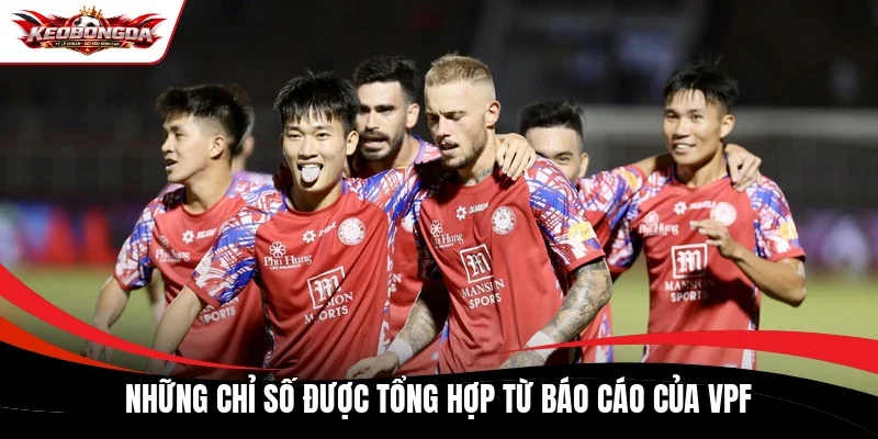 Những chỉ số được tổng hợp từ báo cáo của VPF