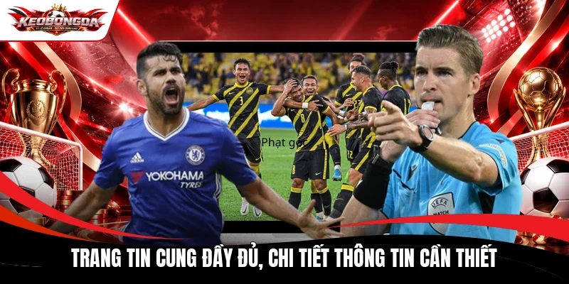 Trang tin cung đầy đủ, chi tiết thông tin cần thiết 