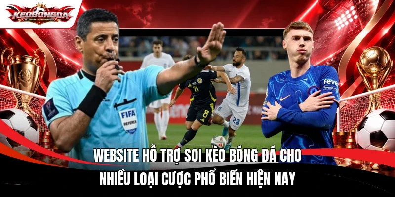 Website hỗ trợ soi kèo bóng đá cho nhiều loại cược phổ biến hiện nay 