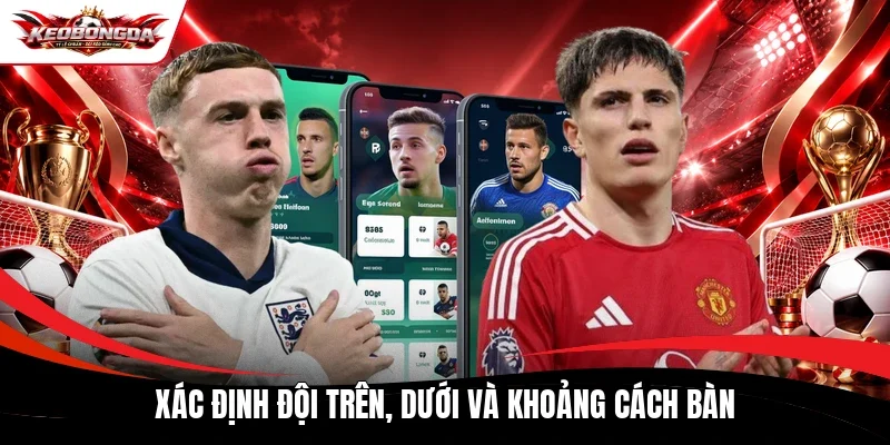 Xác định đội trên, dưới và khoảng cách bàn 